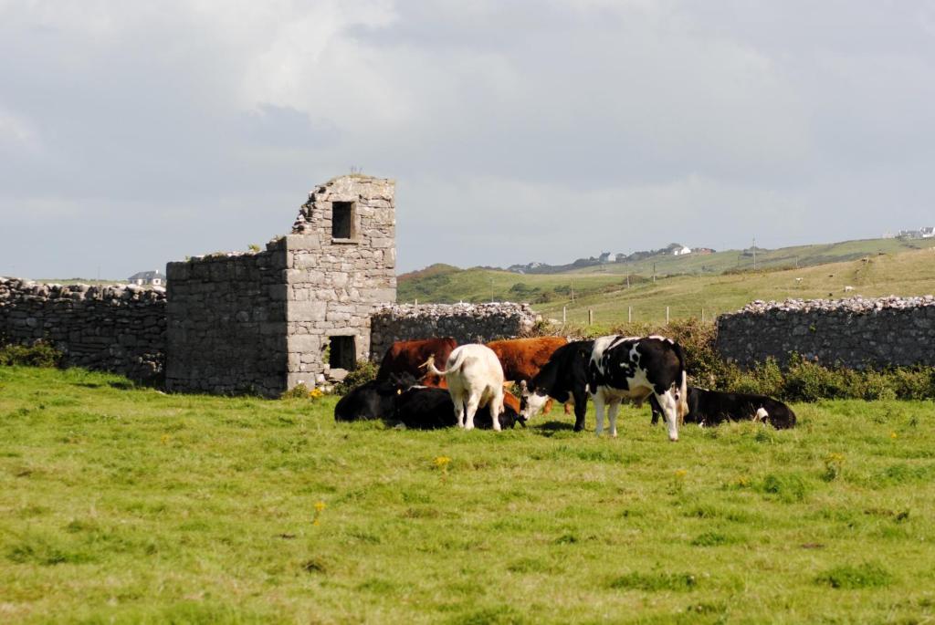 O'Connor'S Accommodation Doolin Eksteriør billede