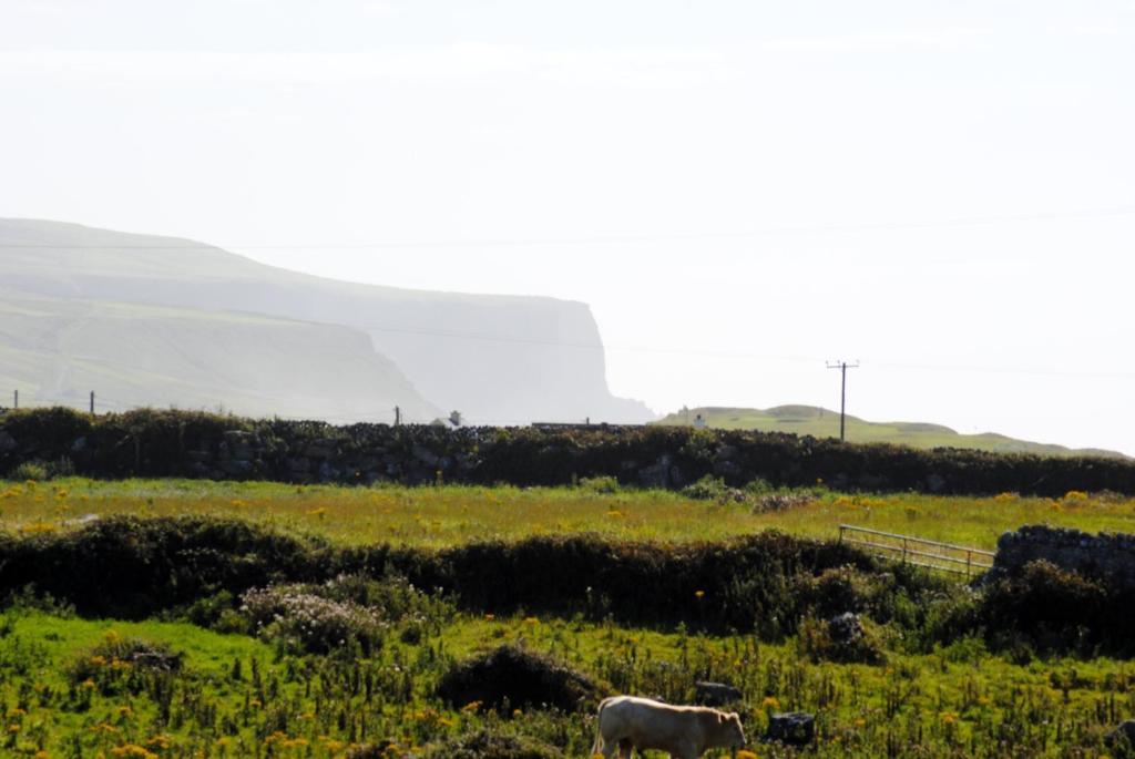 O'Connor'S Accommodation Doolin Eksteriør billede